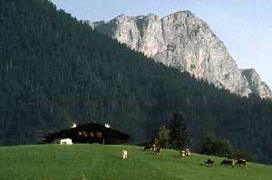 Bayerische Alpen