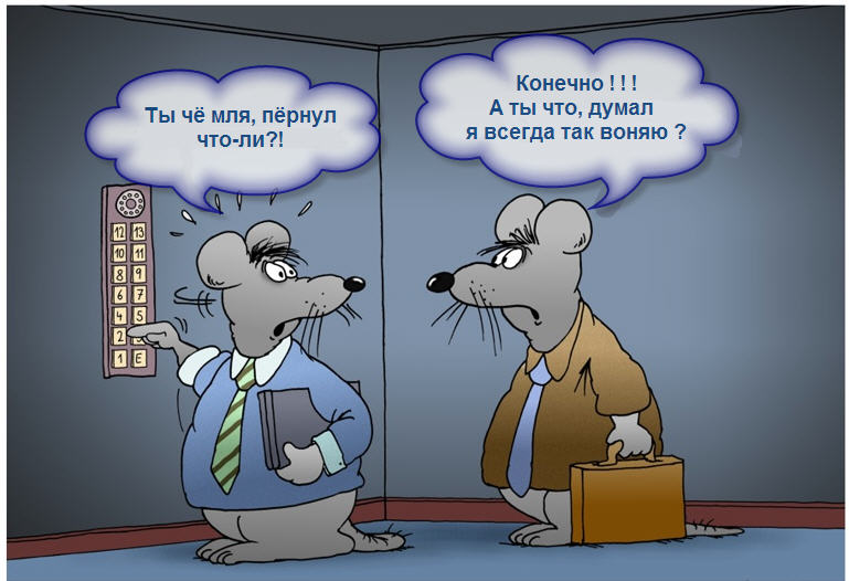 Прикольные картинки про лифт